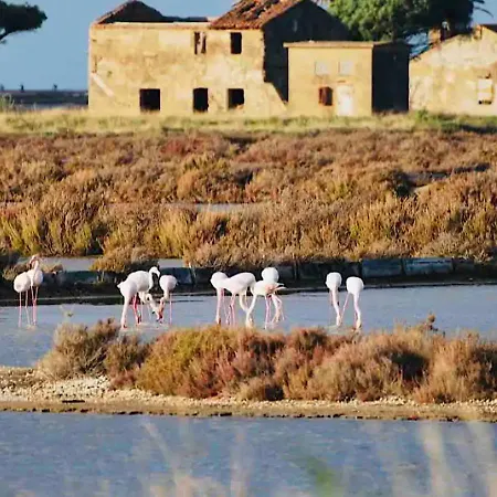 Lejlighed Les Flamants Roses La Capte Clim 4pers 100m *