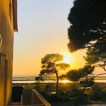Apartment Les Flamants Roses La Capte Clim 4pers 100m Hyères