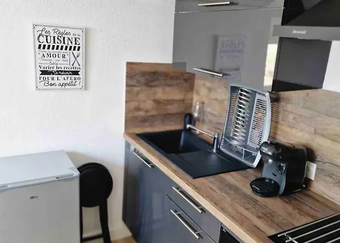 Les Flamants Roses La Capte Clim 4pers 100m * Hyères