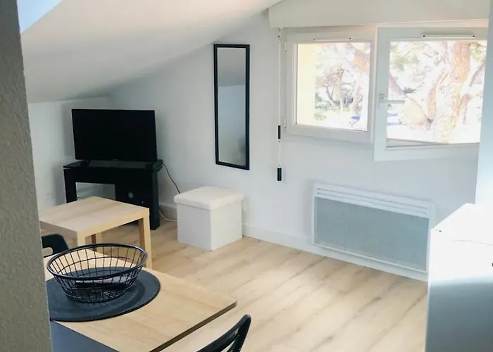 Les Flamants Roses La Capte Clim 4pers 100m Lejlighed