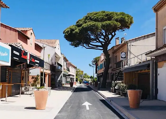 Les Flamants Roses La Capte Clim 4pers 100m Lejlighed