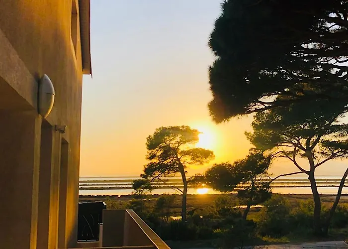 Lejlighed Les Flamants Roses La Capte Clim 4pers 100m Hyères