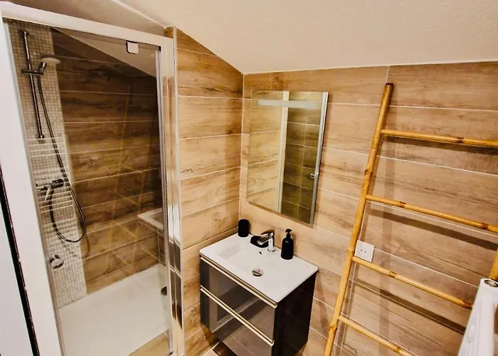 Les Flamants Roses La Capte Clim 4pers 100m * Hyères