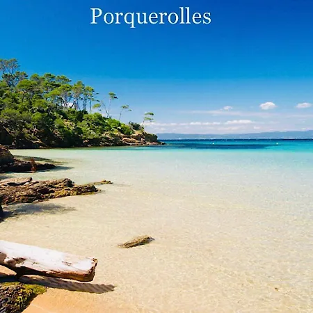 Апартаменты Les Flamants Roses La Capte Clim 4pers 100m Йер