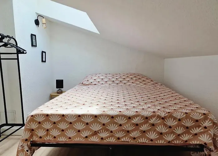 Apartman Les Flamants Roses La Capte Clim 4pers 100m