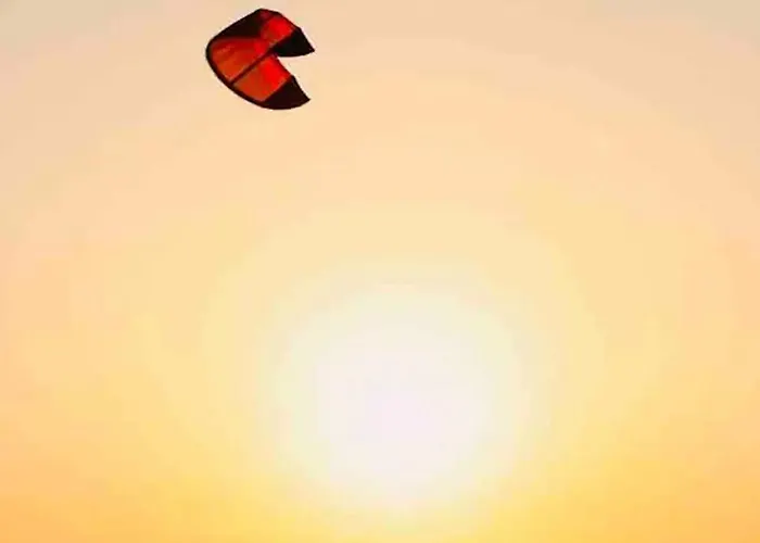 Les Flamants Roses La Capte Clim 4pers 100m * Hyères