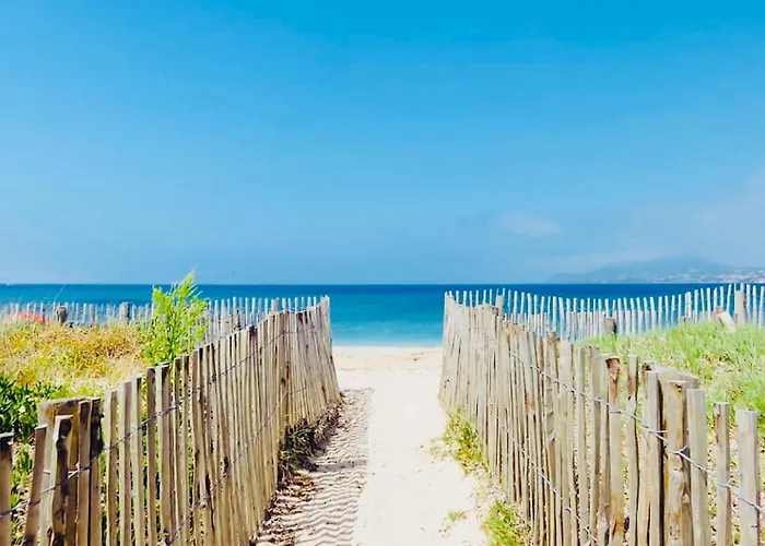 Les Flamants Roses La Capte Clim 4pers 100m * Hyères