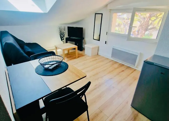 Les Flamants Roses La Capte Clim 4pers 100m *